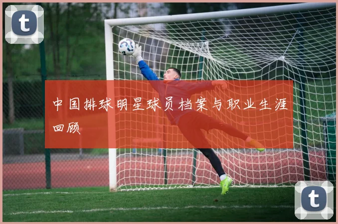 中国排球明星球员档案与职业生涯回顾