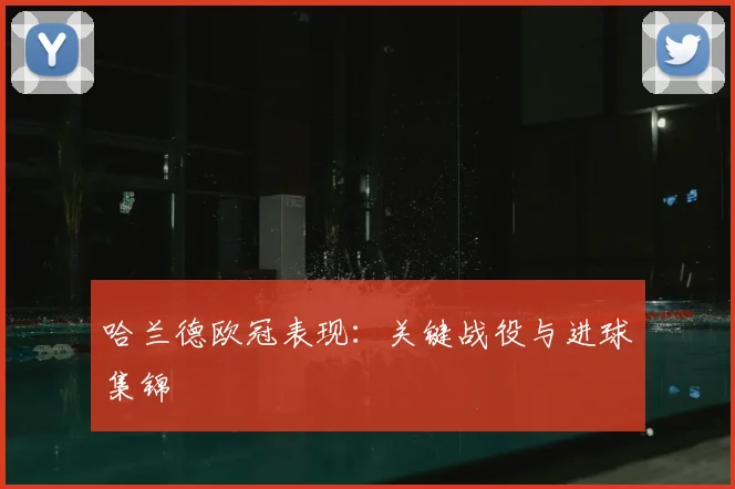 哈兰德欧冠表现：关键战役与进球集锦